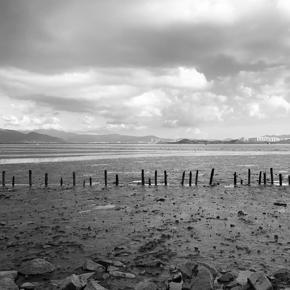 img-2813